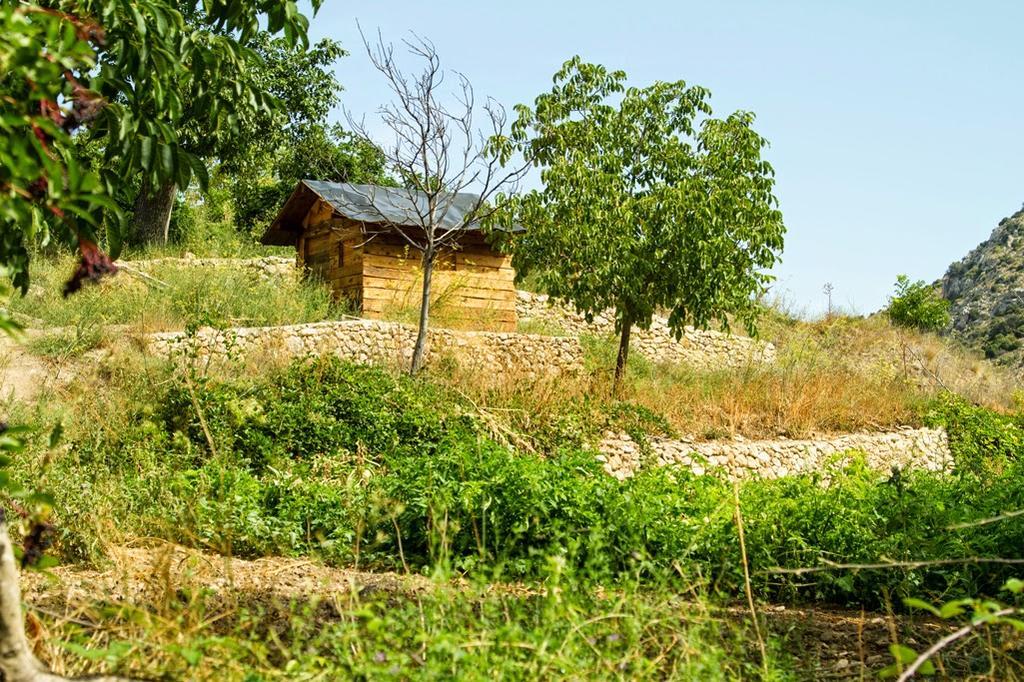 Molino Del Machero Puebla De Don Fadrique Buitenkant foto